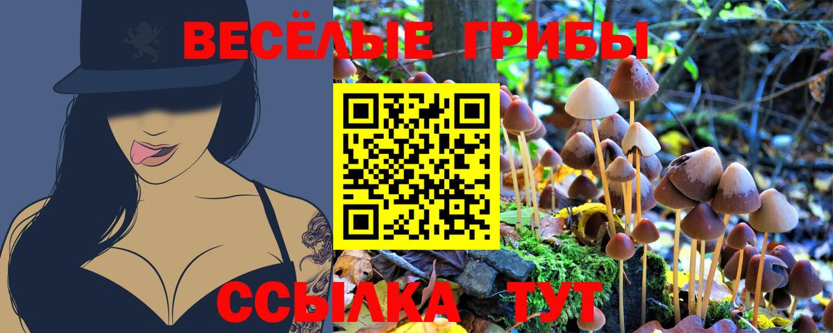Гагарин  Псилоцибиновые грибы мицелий  Вход с VPN 
