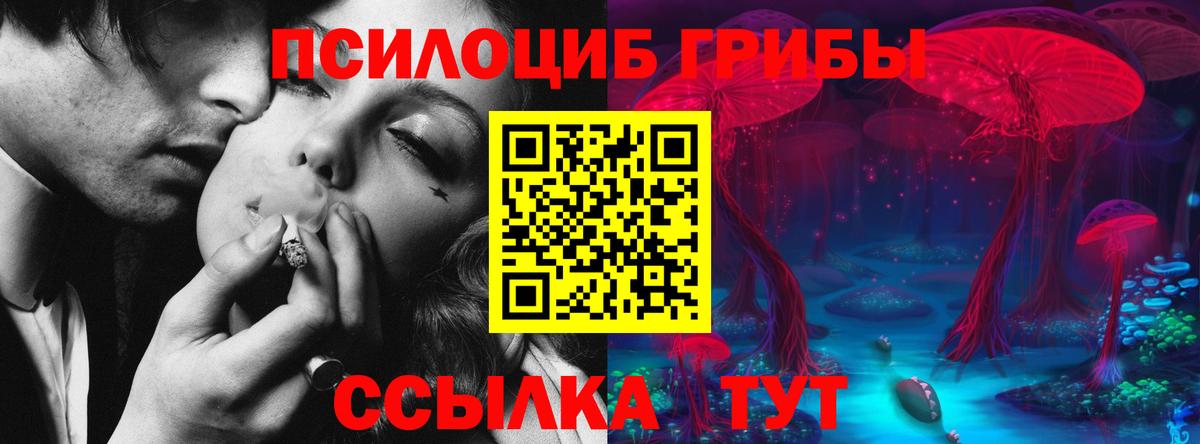 Псилоцибиновые грибы мицелий Гагарин